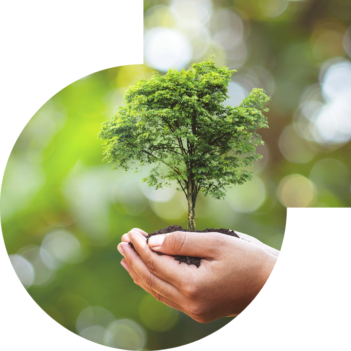 关怀人类、文化、环境与社会